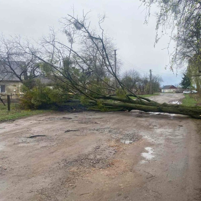 Енергетики повертають світло після негоди у трьох районах Рівненщини