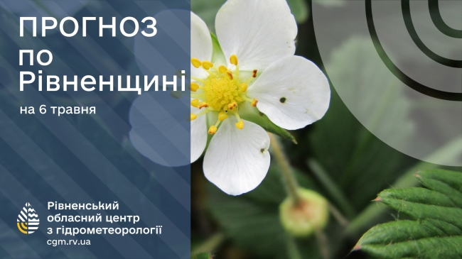 У понеділок на Рівненщині йтиме дощ