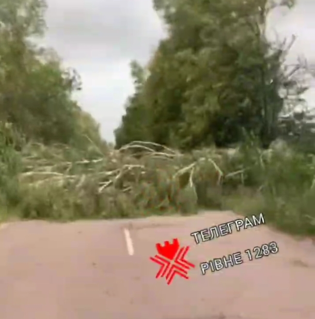 Скріншот з відео телеграм-каналу Рівне 1283