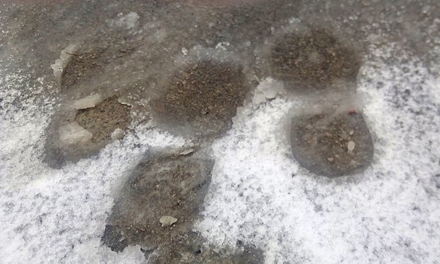 Фото ілюстративне