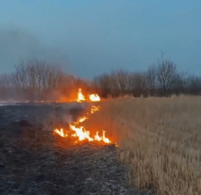 Скріншот з відео патрульної поліції Рівненщини 