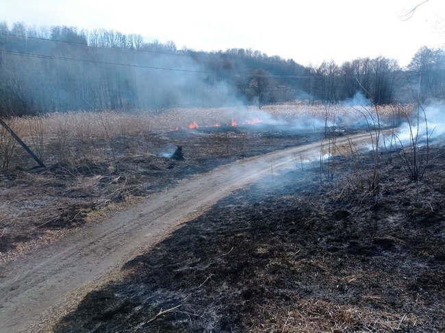 Вогонь на Рівненщині гасили навіть черниці