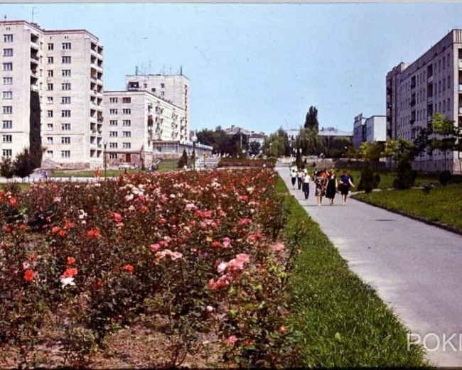 Алея трояд в парку Молоді. 1980-ті роки. Фото В. Філоненка. РОКМ