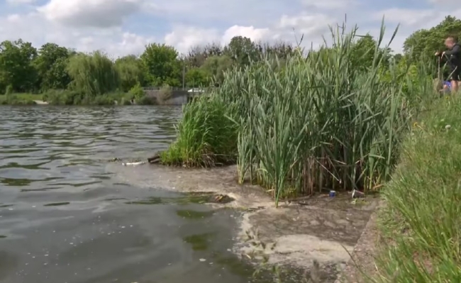 Басів Кут – найбрудніша водойма області, але люди там купаються