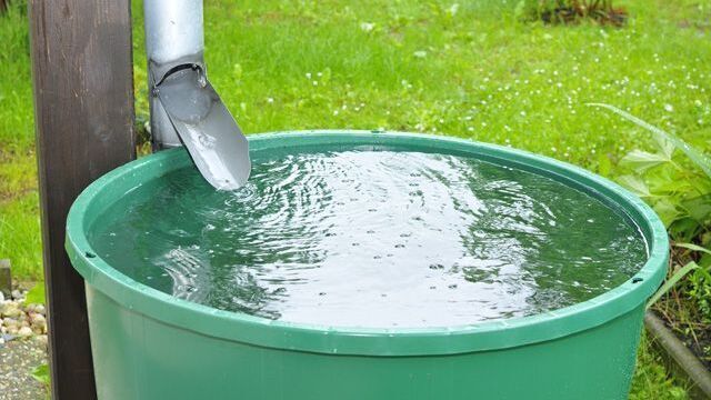 Приклад збору дощової води