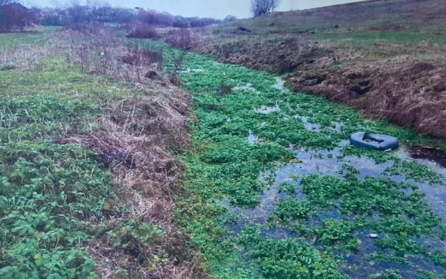 На фото одна з малих приток Усті, яка замулилася та заросла водоростями