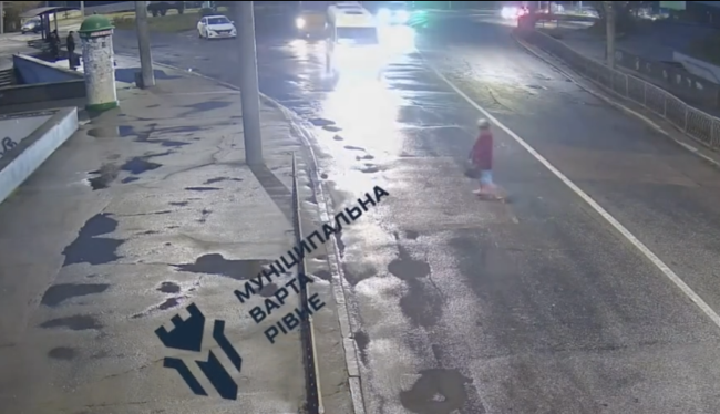 Показали, як рівняни в темноті перебігають дорогу перед машинами (ВІДЕО)