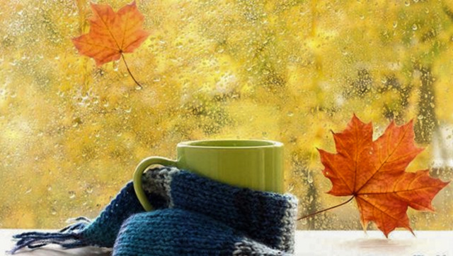 Фото з відкритих джерел