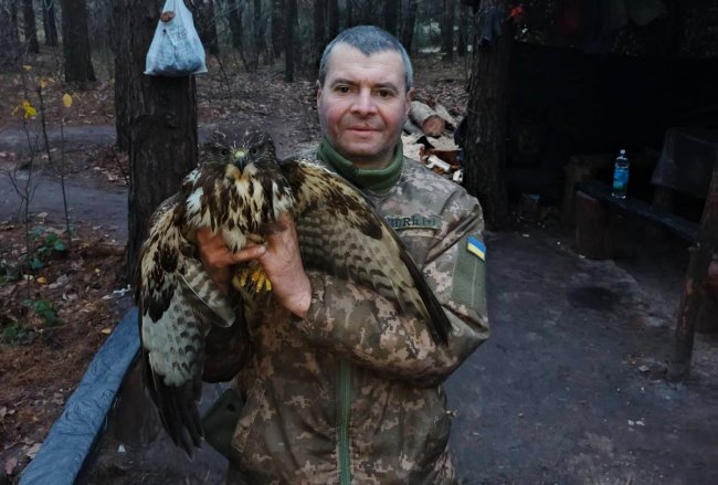 На Рівненщині знайшли скаліченого птаха 