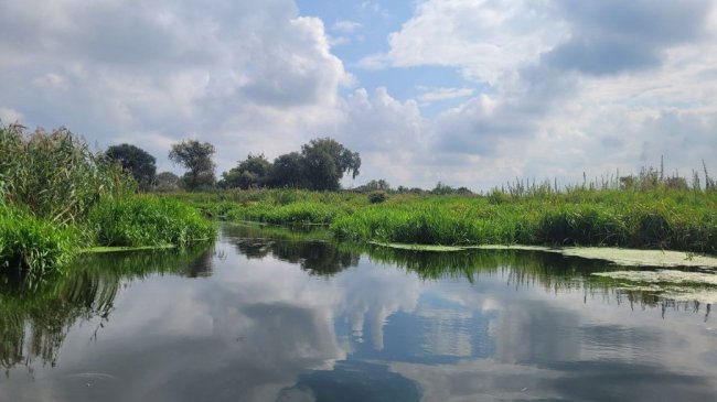 Суспільного