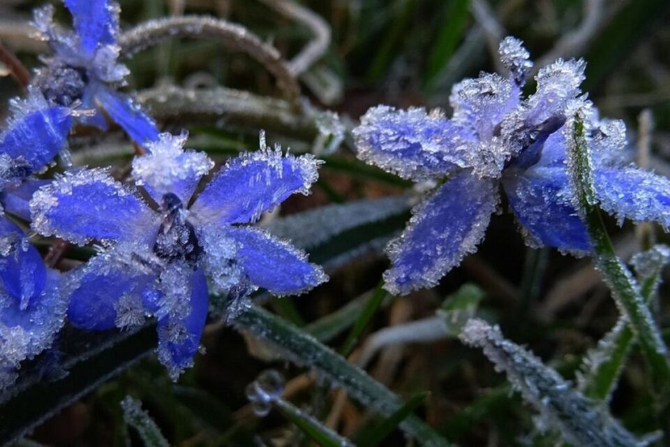 Фото ілюстративне
