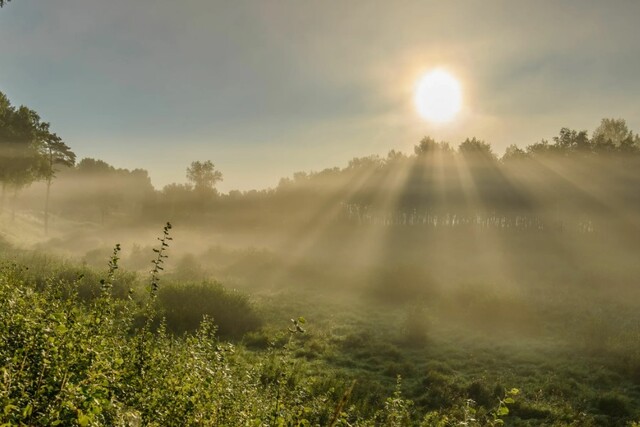 Фото ілюстративне, з відкритих джерел