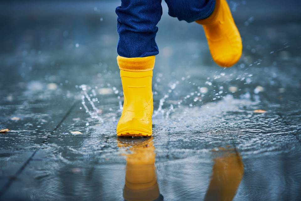 Фото - depositphotos.