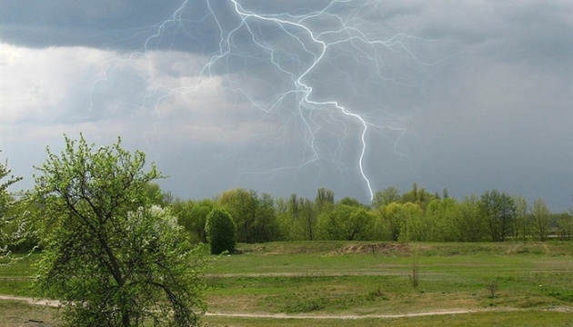 Фото ілюстрaтивне  